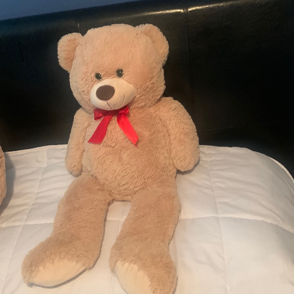 Small bear